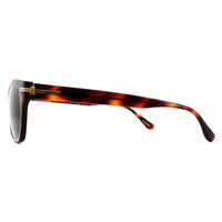 Dunhill Sunglasses SDH014 748P Matt Dark Havana Brown Polarized