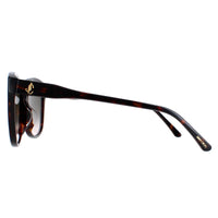 Jimmy Choo Sunglasses Lidie/F/SK 086/HA Dark Havana Brown Gradient