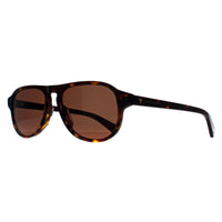 Bottega Veneta Sunglasses BV1292S 002 Havana Brown
