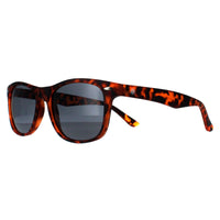 Smarty Sunglasses SB2309 B Satin Dark Tortoise Brown Grey
