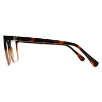 Max Mara Glasses Frames MM5022 056 Tortoise Honey Brown Women