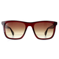 Ted Baker Sunglasses TB1680 Filipe 249 Crystal Dark Wine Brown Gradient