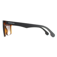Carrera Sunglasses 5039/S 2OS HA Havana Matte Black Brown Gradient