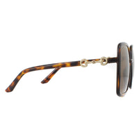 Gucci Sunglasses GG0890S 002 Havana and Gold Brown