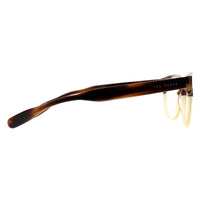 Ted Baker Glasses Frames TB8197 Cade 162 Brown Horn and Honey Men Women
