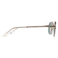 Police Sunglasses SPLN39 Champ 10 300Y Shiny Rose Gold Green