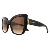 Dolce & Gabbana Sunglasses DG4348 502/13 Havana Brown Gradient