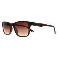 Police Sunglasses SPLB40N Arcade 2 0722 Shiny Dark Havana Brown Gradient