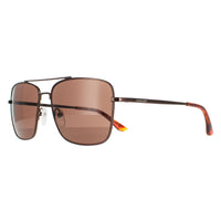 Calvin Klein Sunglasses CK19136S 200 Brown Brown