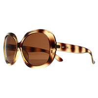 Montana Sunglasses MP63 A Shiny Soft Demi Brown Polarized