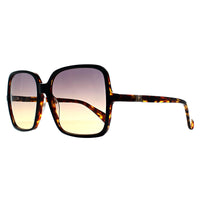 Max Mara Sunglasses MM0037/S Emme9 05K Havana Brown Gradient