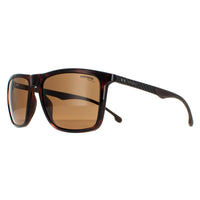 Carrera Sunglasses 8032/S 086 SP Dark Havana Bronze Polarized
