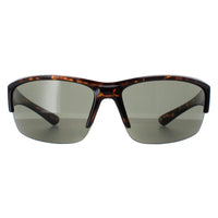 Smarty Sunglasses X2036 C Demi Brown Tortoise Green