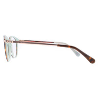 Ted Baker Glasses Frames TB9132 Val 521 Brown Women