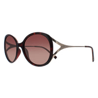 INVU Sunglasses B2117 B Demi Gold Brown Tortoise Brown Polarized