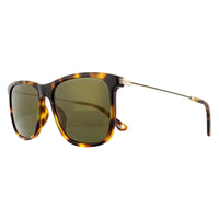 Police Sunglasses SPL572N Avenue 2 1GZV Shiny Light Havana Green