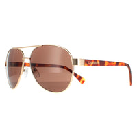 Calvin Klein Sunglasses CK19316S 717 Gold Brown