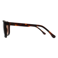 Serengeti Sunglasses Mara 8770 Matte Tortoise Polarized Drivers Gold