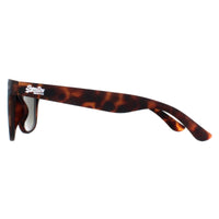 Superdry Sunglasses Rookie 106 Matte Navy Havana Green