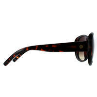 Smarty Sunglasses X2808 J Chocolate Tortoise Brown Brown