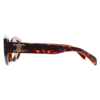 Celine Sunglasses Triomphe CL40238U 52A Dark Havana Smoke Grey