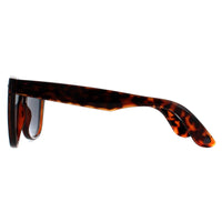 Smarty Sunglasses SB2304 B Tortoise Brown Grey