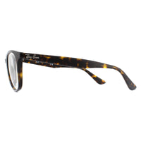 Ray-Ban Glasses Frames 5356 2012 Shiny Havana 52mm
