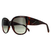 Karen Millen Sunglasses KM5050 102 Brown Grey Gradient