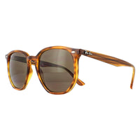 Ray-Ban Sunglasses RB4306 820/73 Striped Red Havana Dark Brown