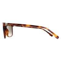 Hugo Boss Sunglasses BOSS 0665/S/IT 086 HA Havana Brown Gradient