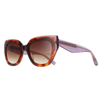 Ted Baker Sunglasses TB1757 Coral 100 Gloss Classic Tortoise Brown Gradient
