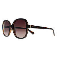 Polaroid Sunglasses PLD 4177/S/X 086 LA Havana Brown Gradient Polarized