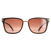 Ted Baker Sunglasses TB1620 Mata 001 Black Brown Gradient