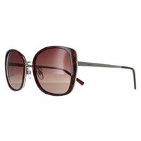 INVU Sunglasses B1907 G Demi Gold Tortoise Brown Brown Polarized