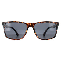 Smarty Sunglasses SB2308 B Demi Black Tortoise Brown Grey