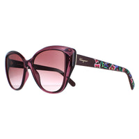 Salvatore Ferragamo Sunglasses SF912S 606 Transparent Wine with Flower Print Brown Gradient