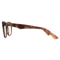 Police Glasses Frames Blackbird 4 VPL392 6W8M Brown Men