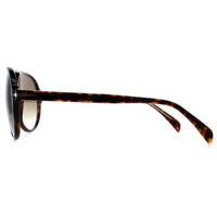 David Beckham Sunglasses DB1091/S 086 HA Havana Brown Gradient