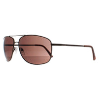 Calvin Klein Sunglasses CK19137S 200 Brown Brown