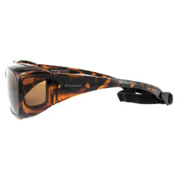 Polaroid Suncovers Fitover Sunglasses 08535 0BM HE Havana Copper Polarized