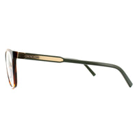 Mont Blanc Glasses Frames MB0631 A56 Havana Gold