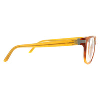 Porsche Design Glasses Frames P8250 D Light Havana