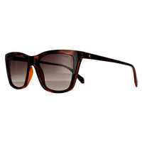 Polaroid Sunglasses PLD 4081/S 086 LA Havana Brown Gradient Polarized