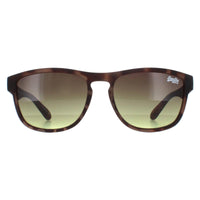 Superdry Sunglasses Rockstar 170A Brown Brown