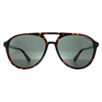 Polaroid Sunglasses PLD 4162/S 086 UC Havana Green Polarized