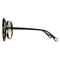 Chloe Sunglasses CH0105S 002 Shiny Black and Tortoise Green Gradient