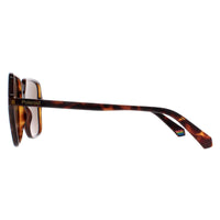 Polaroid Sunglasses PLD 6219/S 086 SP Havana Bronze Polarized