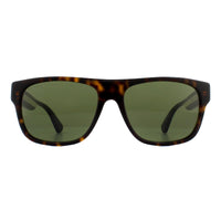 Gucci Sunglasses GG0341S 003 Havana Green