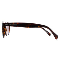 Giorgio Armani Sunglasses 823 086 EJ Dark Havana Brown