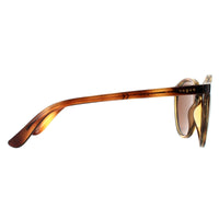 Vogue Sunglasses VO5374S W65673 Dark Havana Dark Brown